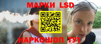 стаф Дубна