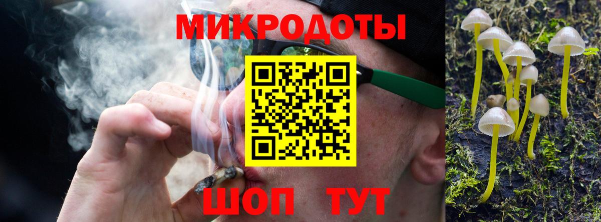 где купить наркотик  Вход с VPN  Каменка  Псилоцибиновые грибы Psilocybe 